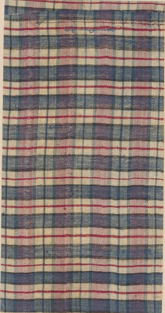 An illustration from Collection of specimens and illustrations of the textile manufactures of India. Second series, 0632-0691 / prepared under the direction of J. Forbes Watson, 1873, leaf 6