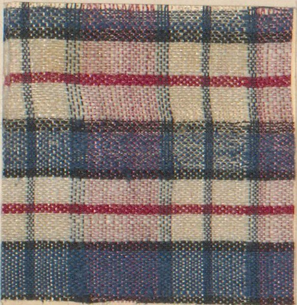 An illustration from Collection of specimens and illustrations of the textile manufactures of India. Second series, 0632-0691 / prepared under the direction of J. Forbes Watson, 1873, leaf 6