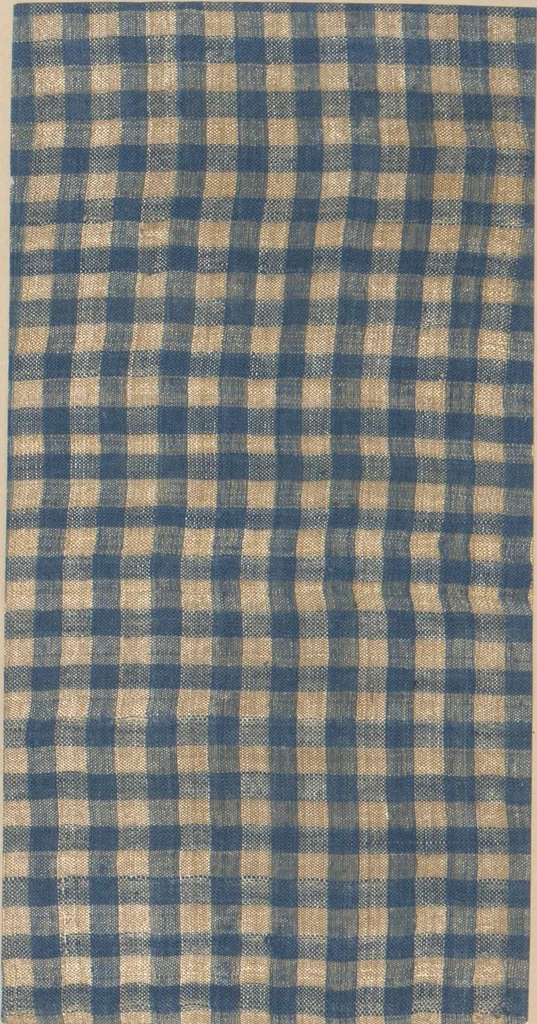 An illustration from Collection of specimens and illustrations of the textile manufactures of India. Second series, 0632-0691 / prepared under the direction of J. Forbes Watson, 1873, leaf 8