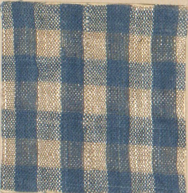 An illustration from Collection of specimens and illustrations of the textile manufactures of India. Second series, 0632-0691 / prepared under the direction of J. Forbes Watson, 1873, leaf 8