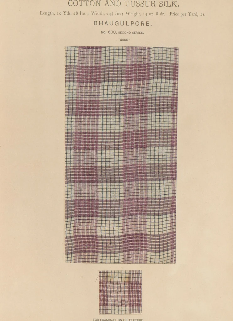 An illustration from Collection of specimens and illustrations of the textile manufactures of India. Second series, 0632-0691 / prepared under the direction of J. Forbes Watson, 1873, leaf 9