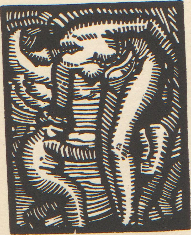 An illustration from A catalogue of an exhibition of woodcuts by John J. A. Murphy : shown at the Galleries of Messrs. Frederick Keppel & Co. ... January the Fifth to January the Thirty-first, Nineteen Hundred and Twenty-two, 1922, leaf 8