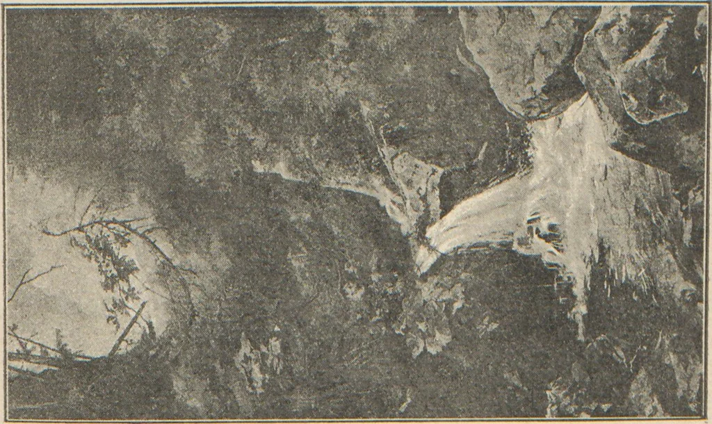 An illustration from Katalog illustrowany wystawy sztuki współczesnej we Lwowie 1894, 1894, leaf 50