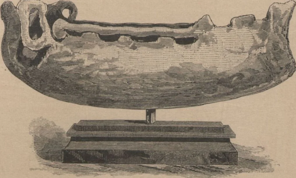 An illustration from The Metropolitan Museum of Art / edited by L.P. di Cesnola ; illustrations by George Gibson, 1882, leaf 17