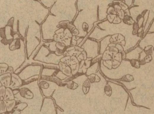 An illustration from Industries of Massachusetts : historical and descriptive review of Lynn, Lowell, Lawrence, Haverhill, Salem, Beverly, Peabody, Danvers, Gloucester, Newburyport and Amesbury, and their leading manufacturers and merchants, 1886, leaf 1