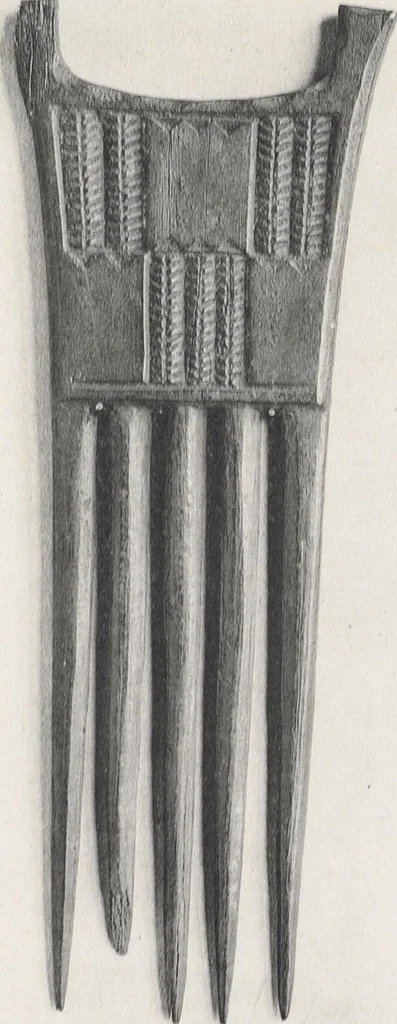 An illustration from La decoration primitive : Afrique : quarante-deux planches accompagnées d'une préface et d'une table descriptive / P.-C. Lepage, 1922, leaf 52