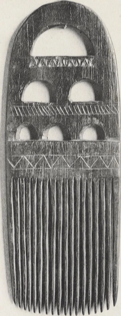An illustration from La decoration primitive : Afrique : quarante-deux planches accompagnées d'une préface et d'une table descriptive / P.-C. Lepage, 1922, leaf 52