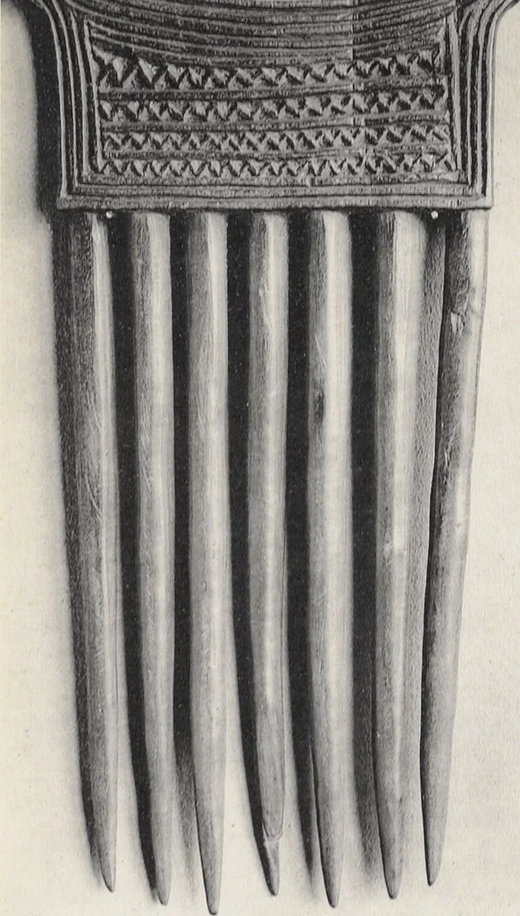 An illustration from La decoration primitive : Afrique : quarante-deux planches accompagnées d'une préface et d'une table descriptive / P.-C. Lepage, 1922, leaf 54