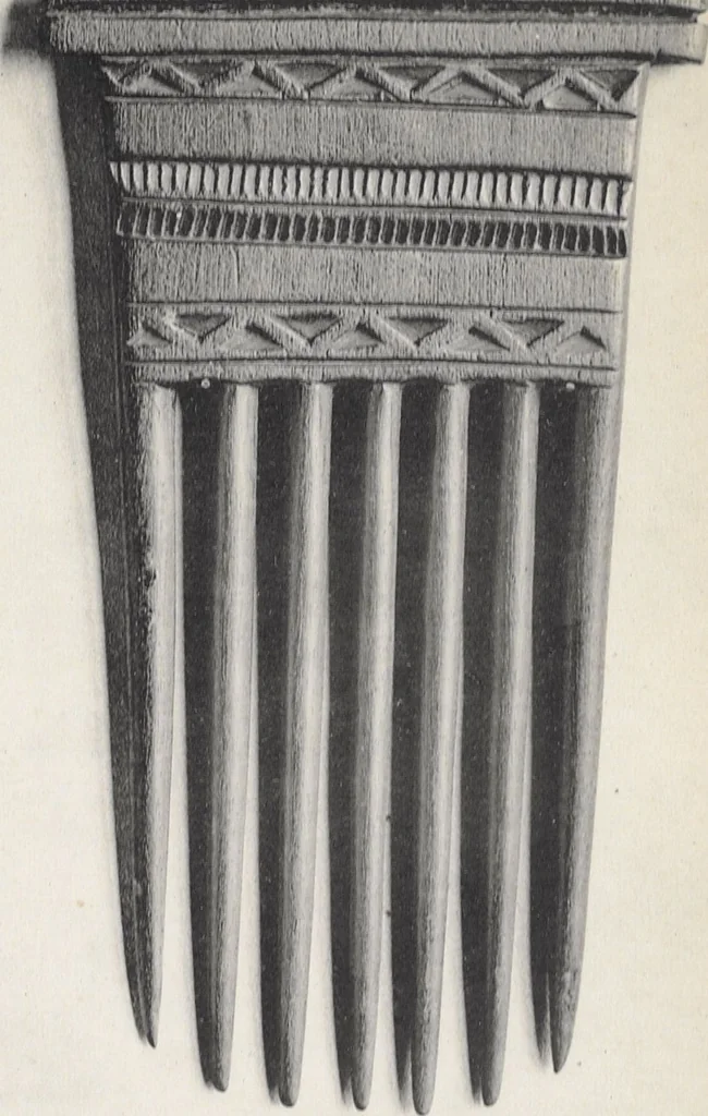 An illustration from La decoration primitive : Afrique : quarante-deux planches accompagnées d'une préface et d'une table descriptive / P.-C. Lepage, 1922, leaf 54