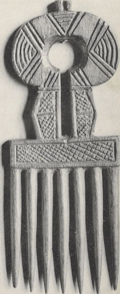 An illustration from La decoration primitive : Afrique : quarante-deux planches accompagnées d'une préface et d'une table descriptive / P.-C. Lepage, 1922, leaf 54