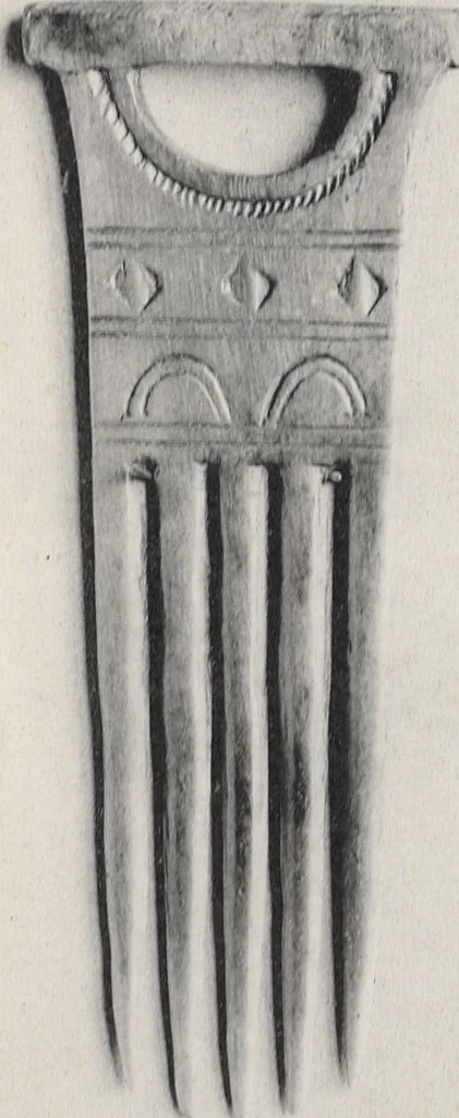 An illustration from La decoration primitive : Afrique : quarante-deux planches accompagnées d'une préface et d'une table descriptive / P.-C. Lepage, 1922, leaf 54