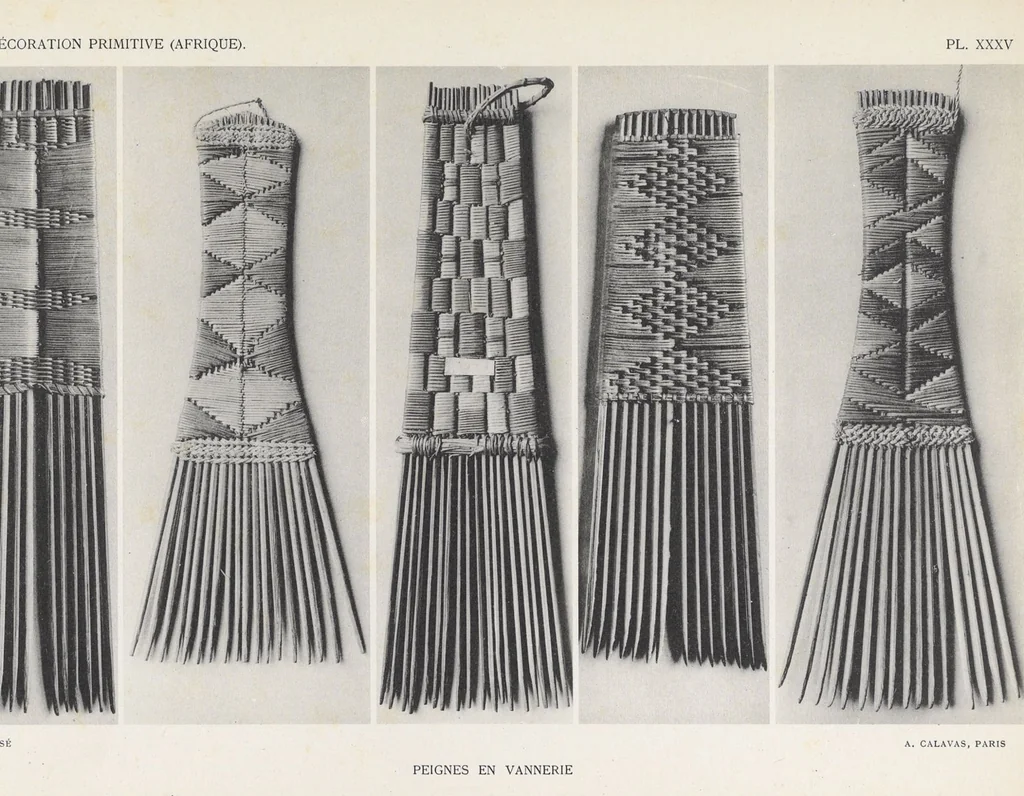 An illustration from La decoration primitive : Afrique : quarante-deux planches accompagnées d'une préface et d'une table descriptive / P.-C. Lepage, 1922, leaf 82