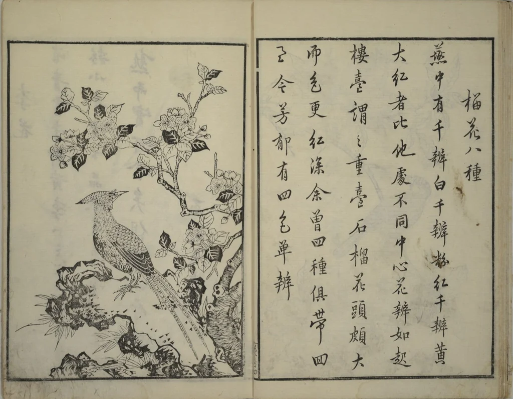 An illustration from Primer on Eight Varieties of Painting (Hasshu gafu 八集画譜), 1672, leaf 10