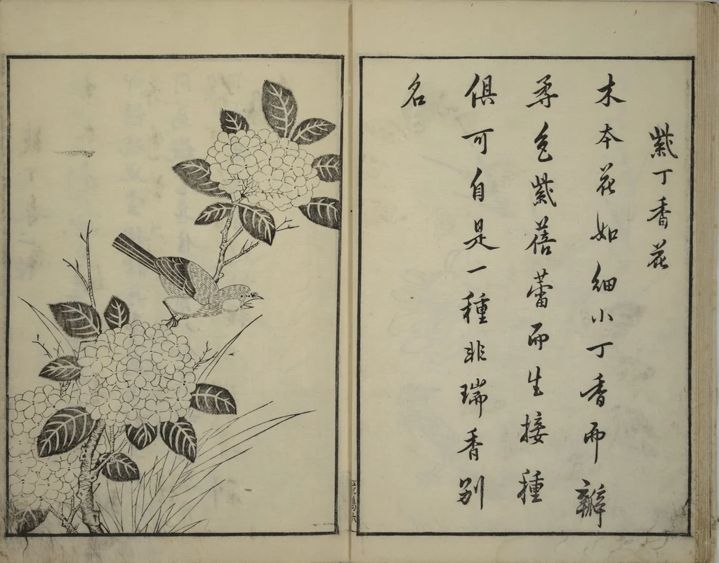 An illustration from Primer on Eight Varieties of Painting (Hasshu gafu 八集画譜), 1672, leaf 12
