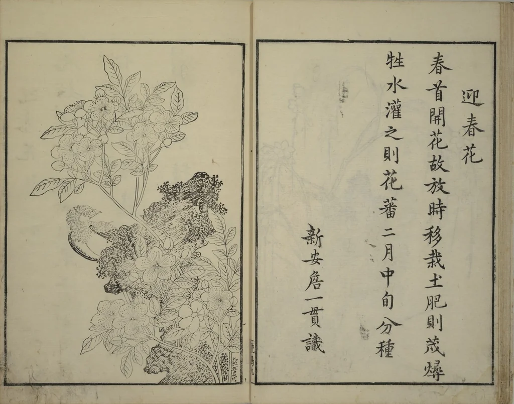 An illustration from Primer on Eight Varieties of Painting (Hasshu gafu 八集画譜), 1672, leaf 14