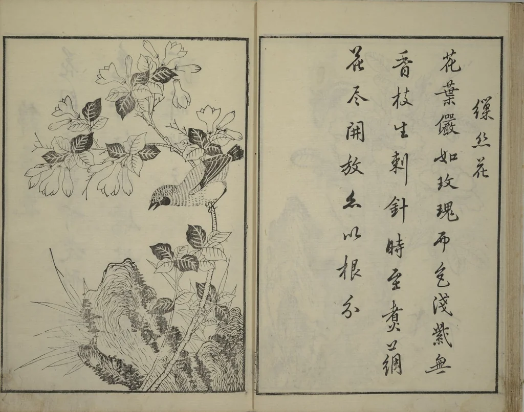 An illustration from Primer on Eight Varieties of Painting (Hasshu gafu 八集画譜), 1672, leaf 16