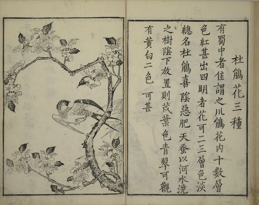 An illustration from Primer on Eight Varieties of Painting (Hasshu gafu 八集画譜), 1672, leaf 19