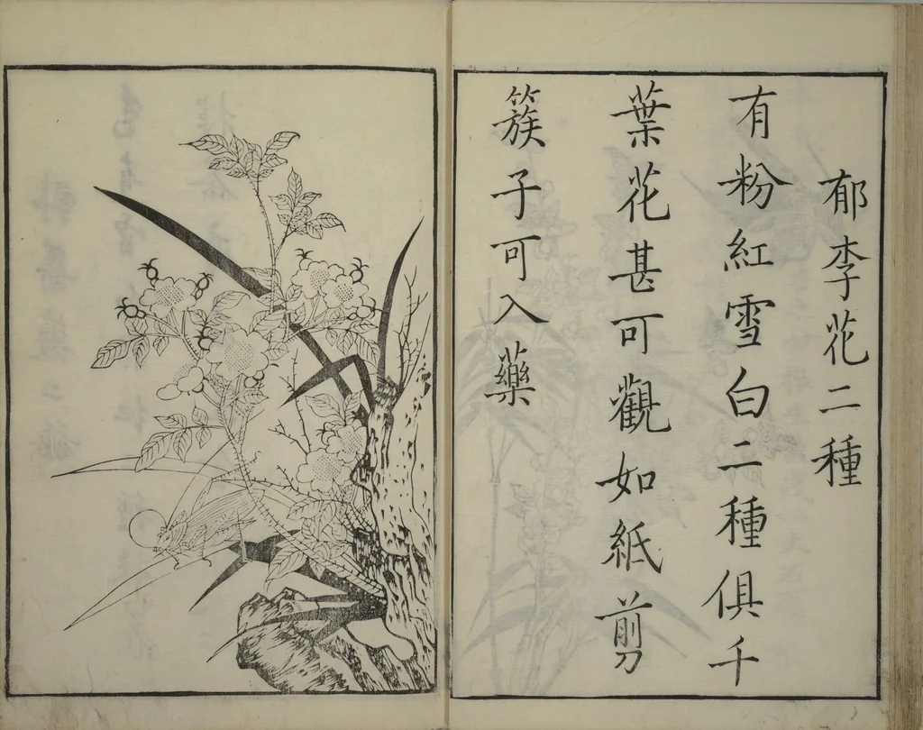An illustration from Primer on Eight Varieties of Painting (Hasshu gafu 八集画譜), 1672, leaf 21