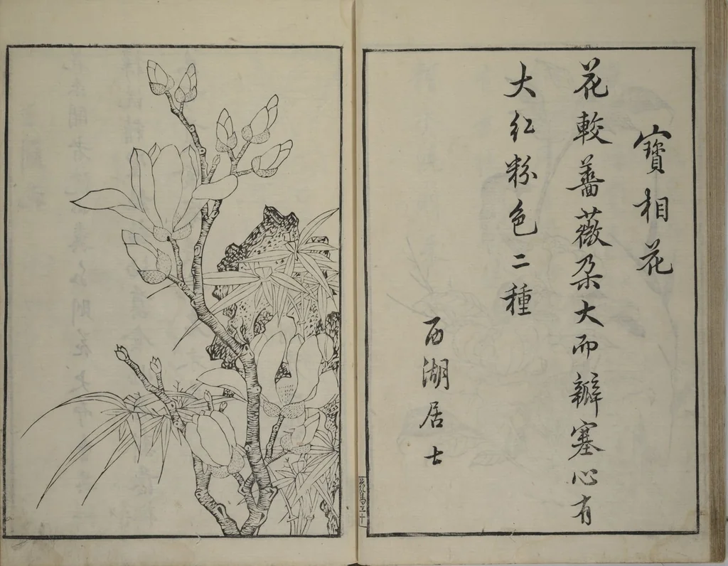 An illustration from Primer on Eight Varieties of Painting (Hasshu gafu 八集画譜), 1672, leaf 25