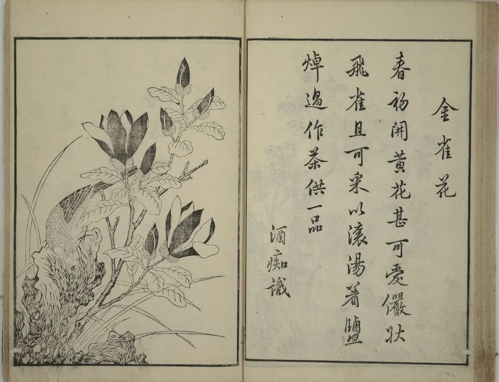 An illustration from Primer on Eight Varieties of Painting (Hasshu gafu 八集画譜), 1672, leaf 28