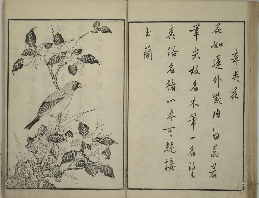An illustration from Primer on Eight Varieties of Painting (Hasshu gafu 八集画譜), 1672, leaf 29