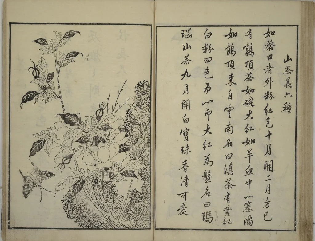 An illustration from Primer on Eight Varieties of Painting (Hasshu gafu 八集画譜), 1672, leaf 30