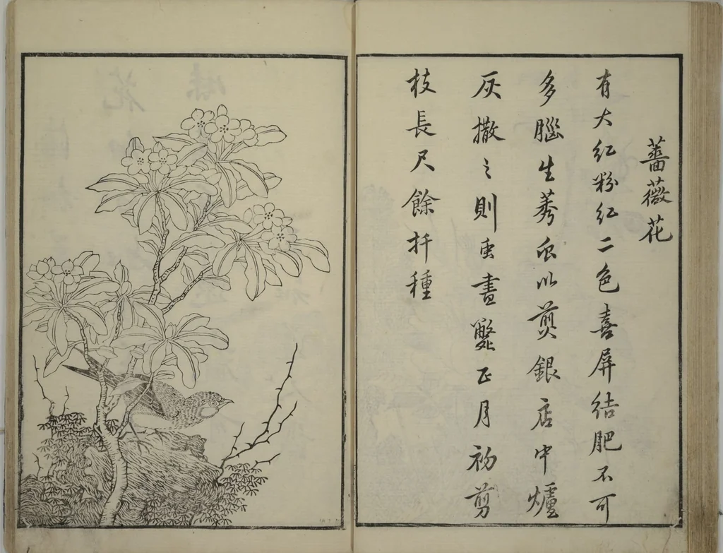 An illustration from Primer on Eight Varieties of Painting (Hasshu gafu 八集画譜), 1672, leaf 31