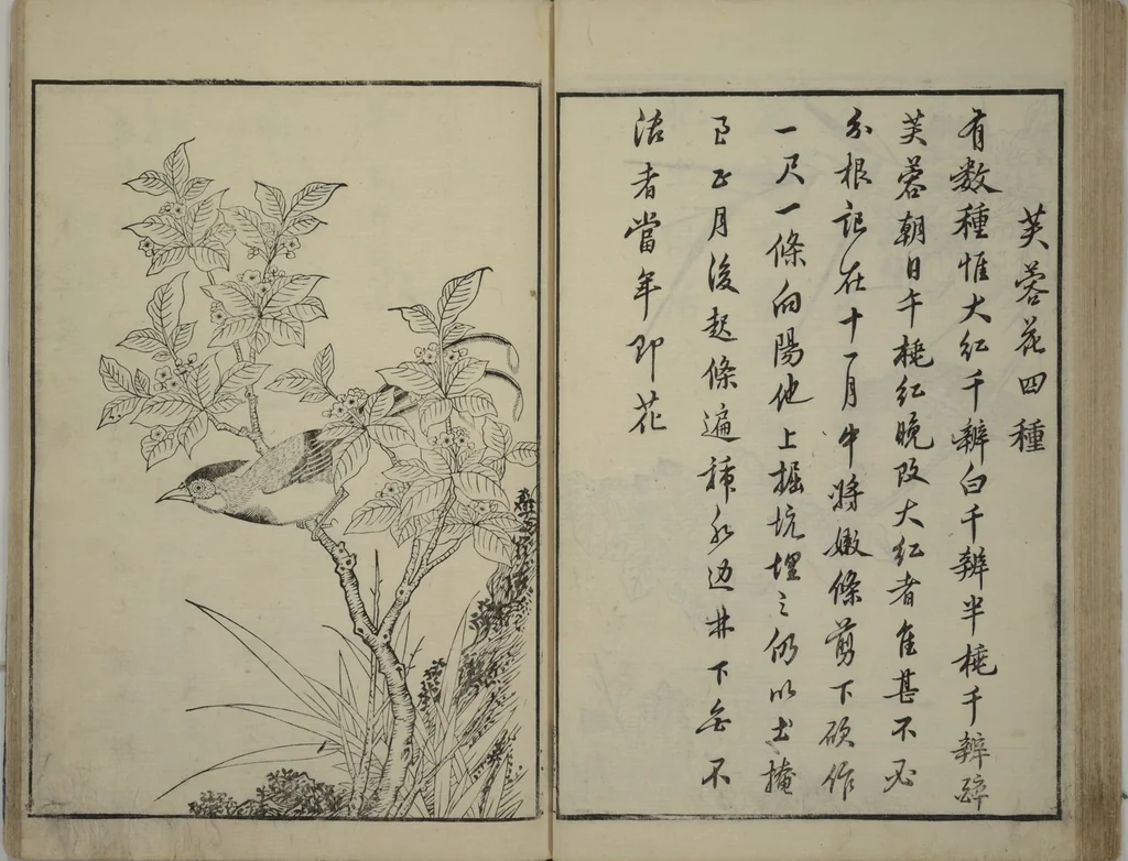 An illustration from Primer on Eight Varieties of Painting (Hasshu gafu 八集画譜), 1672, leaf 34