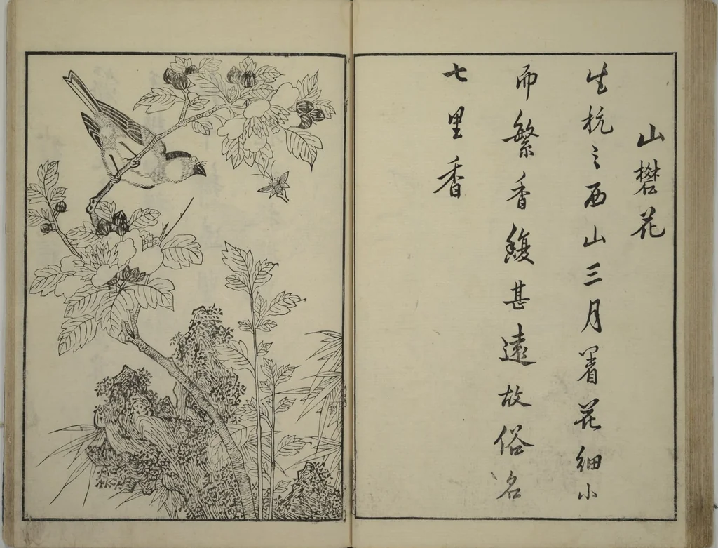 An illustration from Primer on Eight Varieties of Painting (Hasshu gafu 八集画譜), 1672, leaf 35