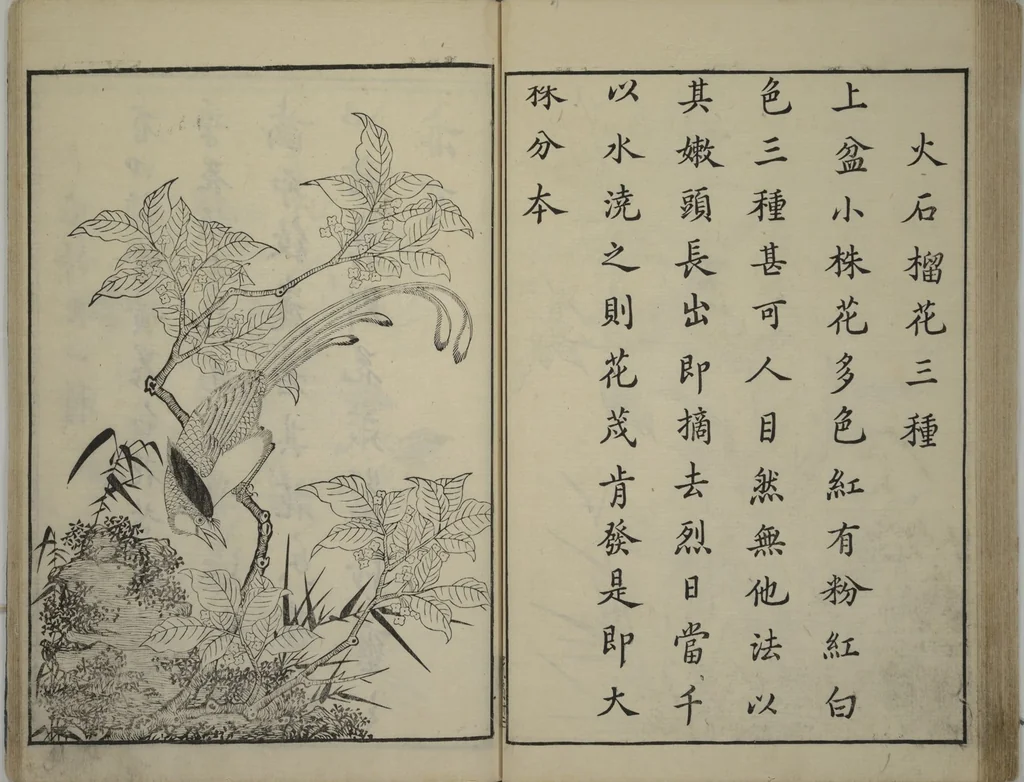 An illustration from Primer on Eight Varieties of Painting (Hasshu gafu 八集画譜), 1672, leaf 37