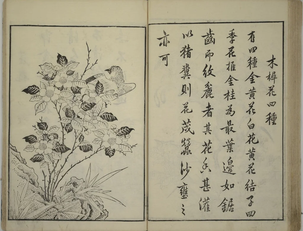 An illustration from Primer on Eight Varieties of Painting (Hasshu gafu 八集画譜), 1672, leaf 38