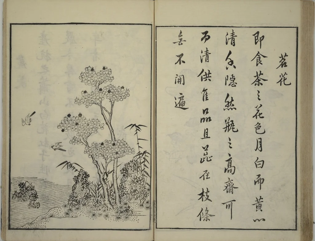 An illustration from Primer on Eight Varieties of Painting (Hasshu gafu 八集画譜), 1672, leaf 39
