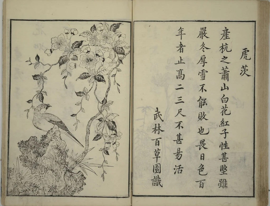 An illustration from Primer on Eight Varieties of Painting (Hasshu gafu 八集画譜), 1672, leaf 40