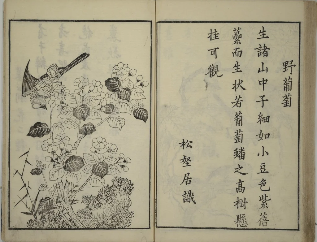 An illustration from Primer on Eight Varieties of Painting (Hasshu gafu 八集画譜), 1672, leaf 44