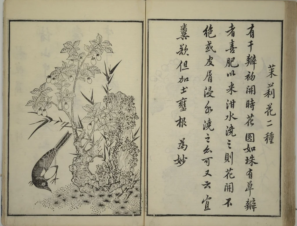 An illustration from Primer on Eight Varieties of Painting (Hasshu gafu 八集画譜), 1672, leaf 45