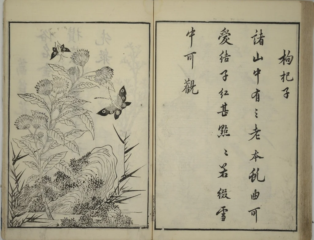An illustration from Primer on Eight Varieties of Painting (Hasshu gafu 八集画譜), 1672, leaf 46