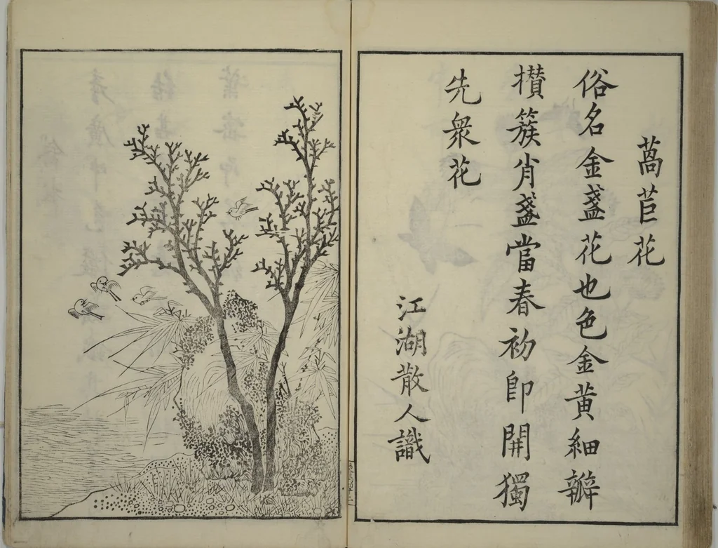 An illustration from Primer on Eight Varieties of Painting (Hasshu gafu 八集画譜), 1672, leaf 47