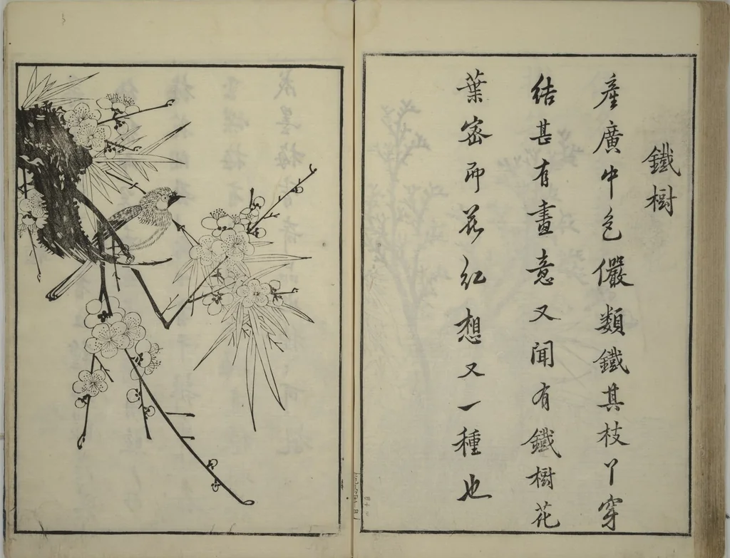 An illustration from Primer on Eight Varieties of Painting (Hasshu gafu 八集画譜), 1672, leaf 48