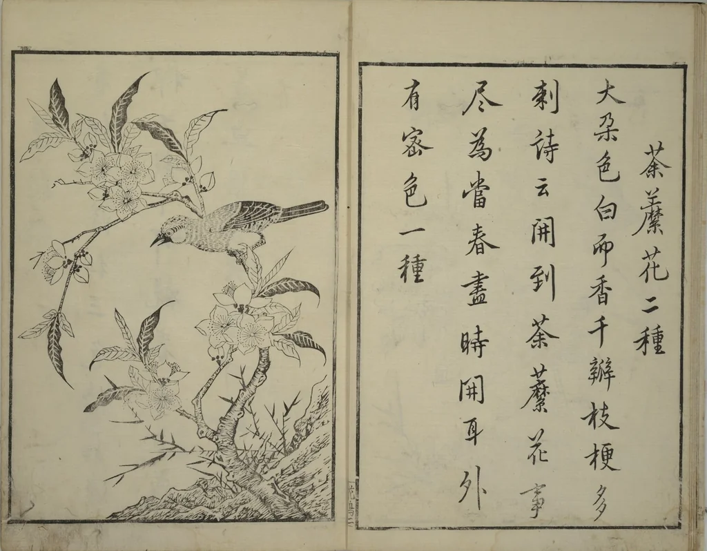 An illustration from Primer on Eight Varieties of Painting (Hasshu gafu 八集画譜), 1672, leaf 8