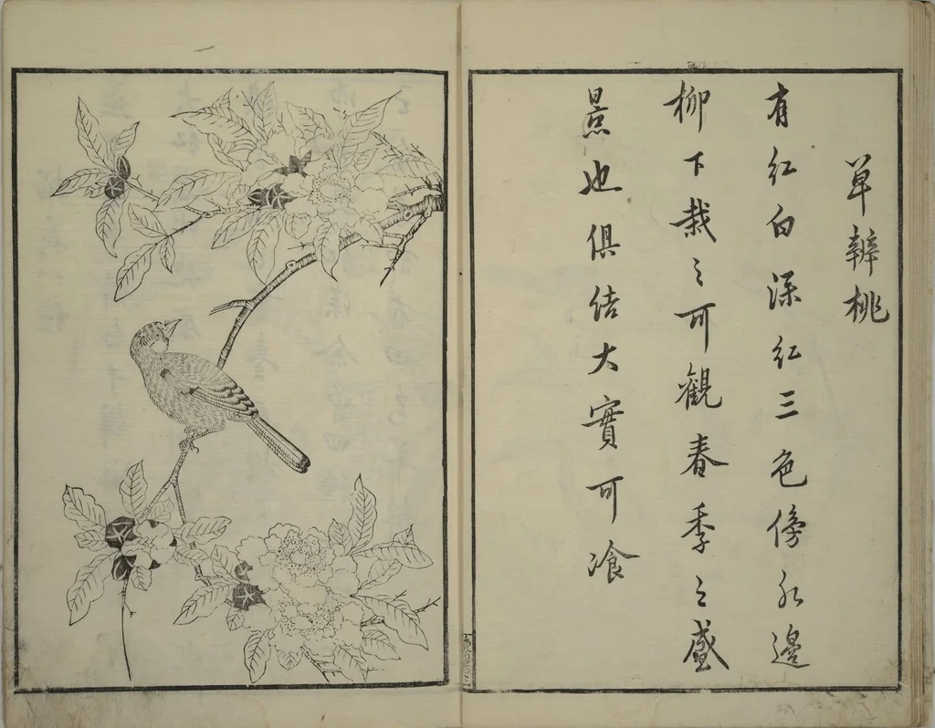 An illustration from Primer on Eight Varieties of Painting (Hasshu gafu 八集画譜), 1672, leaf 9