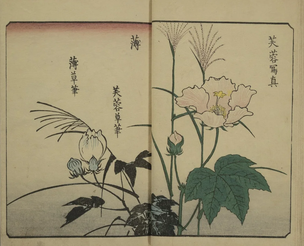An illustration from Picture Book for the Practice of Drawing (Ehon tebikigusa 絵本手引草), 1849, leaf 10