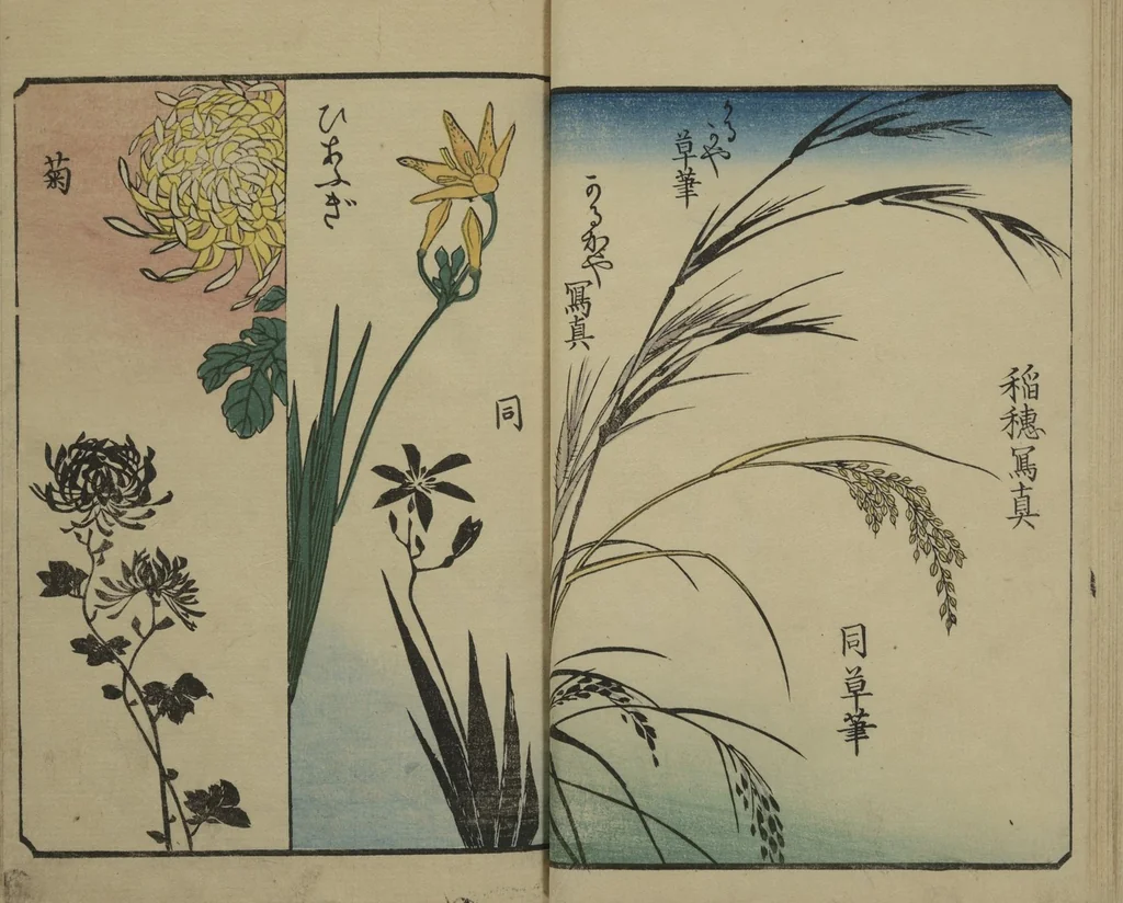 An illustration from Picture Book for the Practice of Drawing (Ehon tebikigusa 絵本手引草), 1849, leaf 12