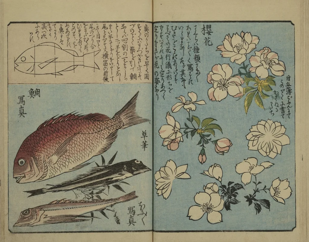 An illustration from Picture Book for the Practice of Drawing (Ehon tebikigusa 絵本手引草), 1849, leaf 13