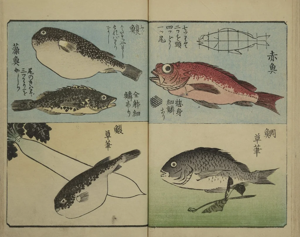 An illustration from Picture Book for the Practice of Drawing (Ehon tebikigusa 絵本手引草), 1849, leaf 14