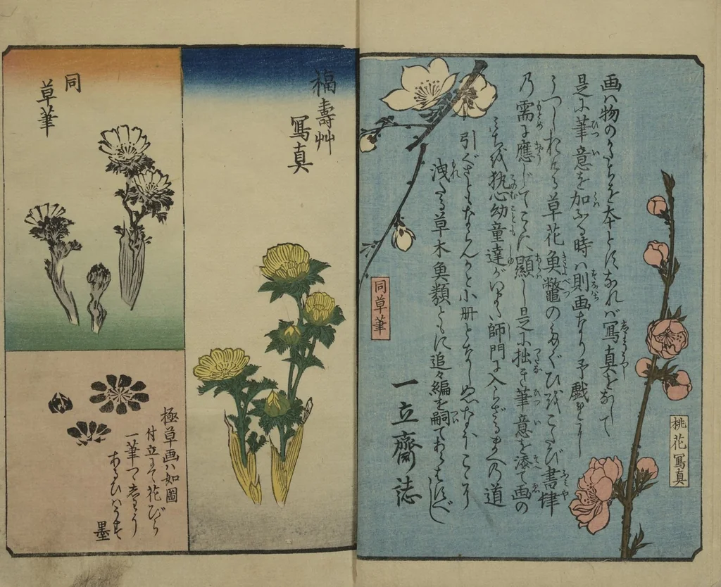 An illustration from Picture Book for the Practice of Drawing (Ehon tebikigusa 絵本手引草), 1849, leaf 4
