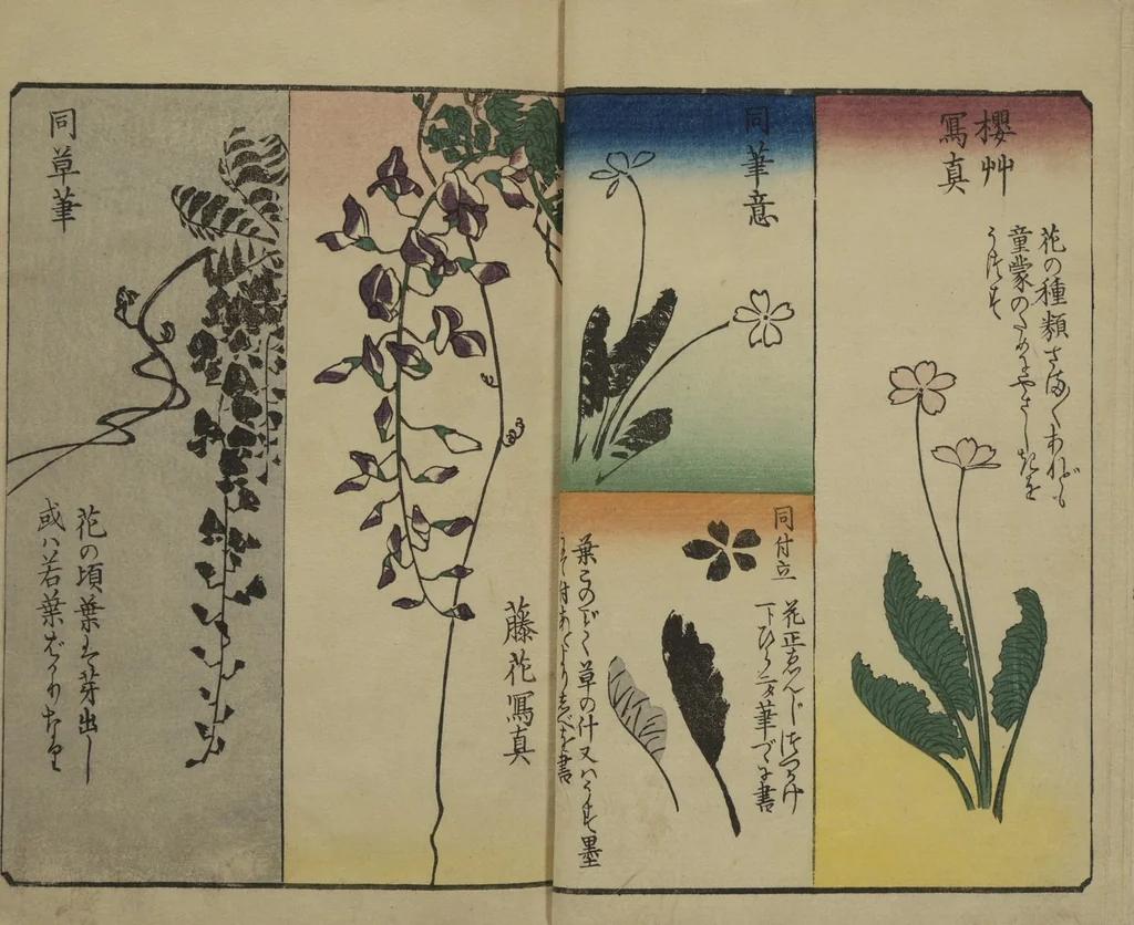 An illustration from Picture Book for the Practice of Drawing (Ehon tebikigusa 絵本手引草), 1849, leaf 5