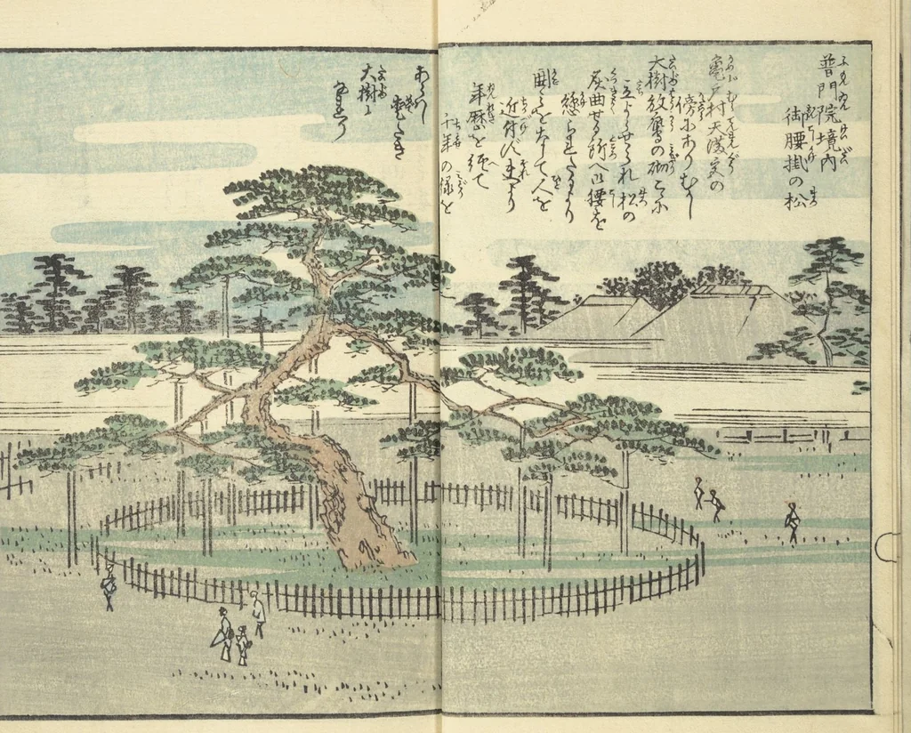 An illustration from Picture Book of the Souvenirs of Edo (Ehon Edo miyage 絵本江戸土産) : [volume 08], 1861, leaf 5