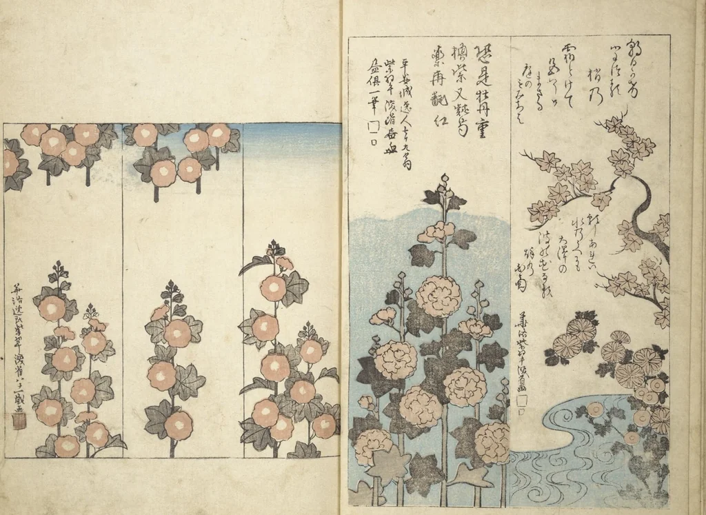 An illustration from Traces of Kenzan's Brush (Kenzan iboku 乾山遺墨), 1823, leaf 11