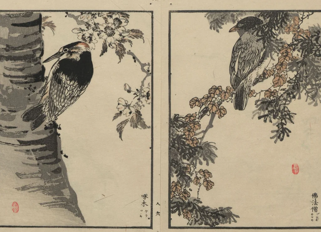 An illustration from Bairei Picture Album of One Hundred Birds (Bairei hyakuchō gafu 楳嶺百鳥畫譜) : [volume 3], 1881, leaf 10