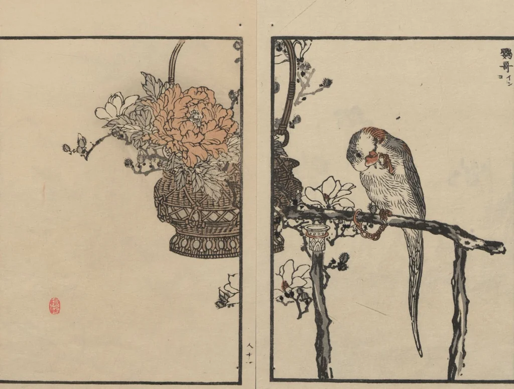An illustration from Bairei Picture Album of One Hundred Birds (Bairei hyakuchō gafu 楳嶺百鳥畫譜) : [volume 3], 1881, leaf 15